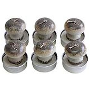 Teelicht PBS Pilz, braun, 6 Stück