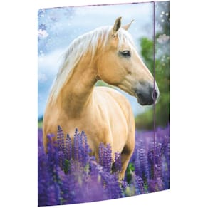 Gummizugmappe RNK Pferdeträume, A3