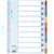 Tabbladen Esselte, 10 tabs, A4, gerecycled karton, gekleurd