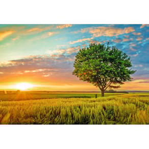 Grußkarte SKORPION, ohne Text, bunt, 17 x 11,5 cm, mit Umschlag