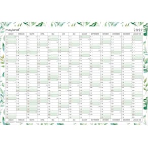 Vægkalender Mayland Kæmpe, 72 x 735 mm, 2027, flerfarvet