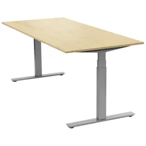 Skrivbord Ergofunk T 1200x800 Bok/Silver
