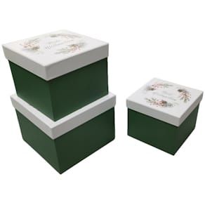 Geschenkkarton PBS Weihnachten Zweige, weiß/grün