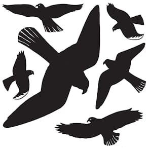 Fensterbild HERMA Warnvögel, schwarz, 1 Blatt
