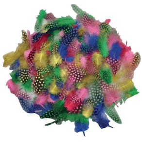 Pärlhönsfjädrar, 100/fp