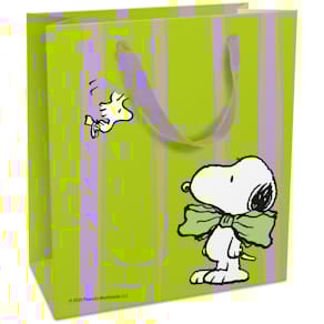 Geschenktragetasche BRAUN + COMPANY Snoopy, grün