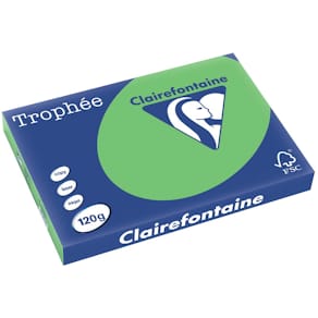 Gekleurd papier Clairefontaine Trophée Intens, A3, 120 g, 250 vel