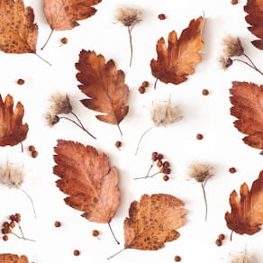 Motivserviette ATELIER, 33 x 33 cm