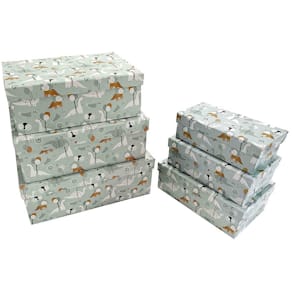 Geschenkkarton Noname Kind Dinoparty, mehrfarbig, 6 Größen