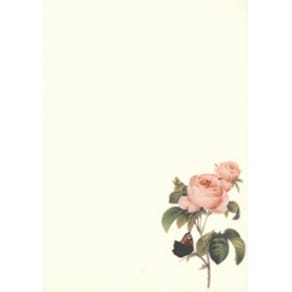 Designpapier Rössler, A4, 50 Blatt, 100 g/m²