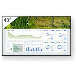 Sony Bravia Professional Displays FW-43BZ30L - 43" Diagonal