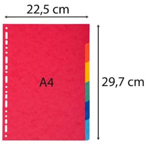 Kartongregister EXACOMPT A4 6-flik f.fär