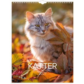 Väggkalender Stora Kattkalendern 2027