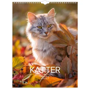 Väggkalender Stora Kattkalendern 2027