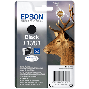 Bläckpatron EPSON C13T13014012 Svart