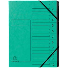 Ordnungsmappe EXACOMPTA, 12-teilig, grün, A4