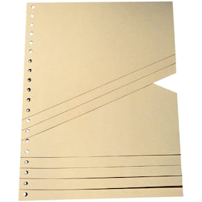 Staffeltrennblätter A4, 100 Stück, chamois