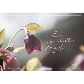 Trauerkarte KOMMA³, Devise: Trauer