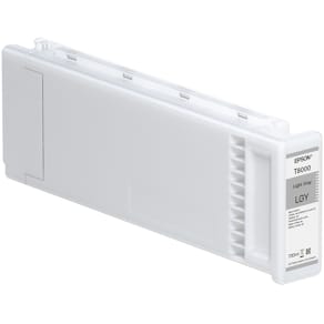 Bläckpatron EPSON C13T800900 Grå