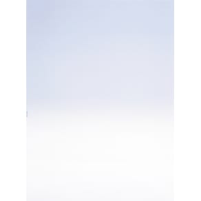 Standardblankett Laser Otryckt, blåtonat, 2500/fp