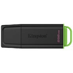 Kingston DataTraveler Exodia - USB flash-enhet - 256 GB - USB