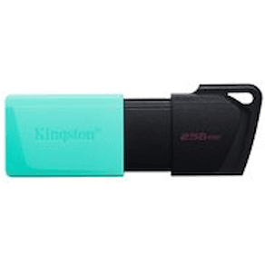 Kingston DataTraveler Exodia M - USB flash-enhet - 256 GB - USB
