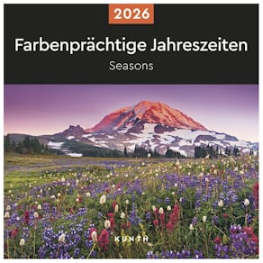 Weihnachtsumschläge Sigel Weihn.Design, 50 St., Rustic White