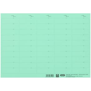 Beschriftungsschilder Elba vertic Komfort, grün, 58x18 mm, 50 St.