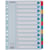 Register ESSELTE Mylar A4 1-12 multifärgat