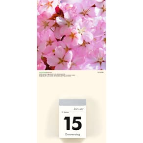 Kalenderrückwand ZETTLER, Blumen, 2-fach sortiert, 145 x 300 mm