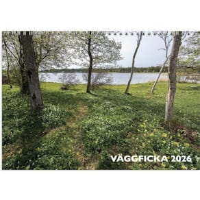 Väggkalender Väggficka 2026