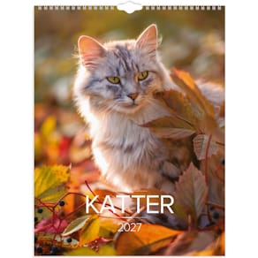 Burde Väggkalender Stora Kattkalendern 2027