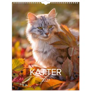 Burde Väggkalender Stora Kattkalendern 2027