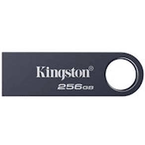 Kingston DataTraveler SE9 G3 - USB flash-enhet - 256 GB - USB