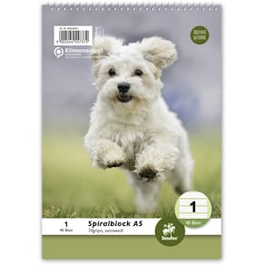 Schulblock Staufen Style, A5 mit Spirale, Lin 1