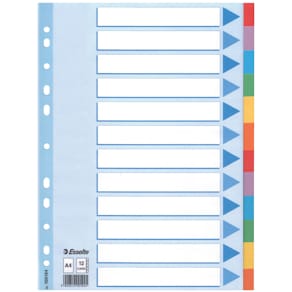 Register Esselte Standard Blanko, A4, 12-teilig