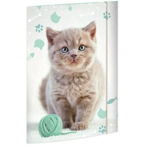 Gummizugmappe RNK Kitty, A3