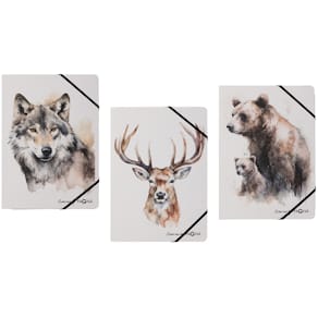 Gummizugmappe PAGNA Save me No.5, A4, sortiert