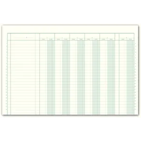 Bokföringsbok 366, 96s, 11 dubbelkolumner, 5 enkelkolumner