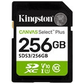 Kingston Canvas Select Plus - Flash-minneskort - 256 GB - Video