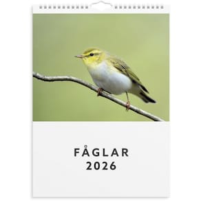 Väggkalender 2026 Fåglar