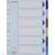 Tabbladen Esselte, 6 tabs, A4, PP, geassorteerde kleuren