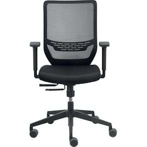 Bürodrehstuhl Dauphin to-sync work, Armlehnen, Netzrücken