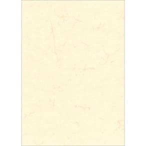 Urkunde RNK Elefantenhaut, DIN A3, weiß, 190 g/m², 10 Blatt