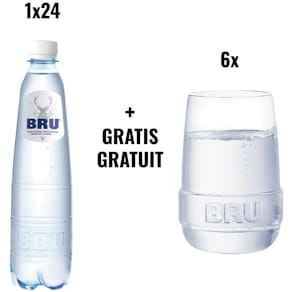 Mineraalwater Bru lichtsprankelend, 50 cl, pak van 24 stuks