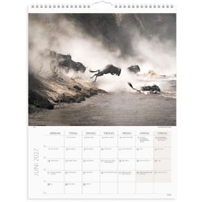 Burde Väggkalender Savannen 2027