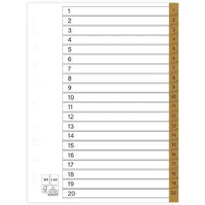 Register plastflik 1-20 brun 10/fp