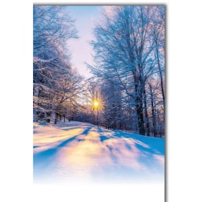 Weihnachtskarte Braun+ Company, ohne Text