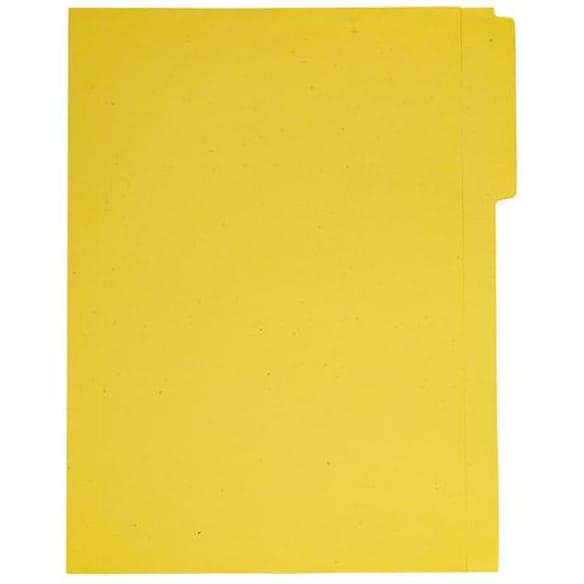 Vertikalmappe A4 fane v. 150g mani.(100)