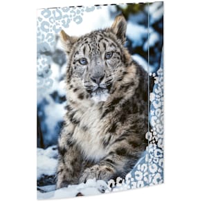 Gummizugmappe RNK, A3, Schneeleopard